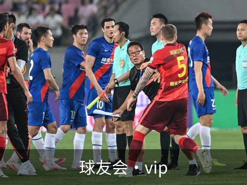 球友会·vip介绍